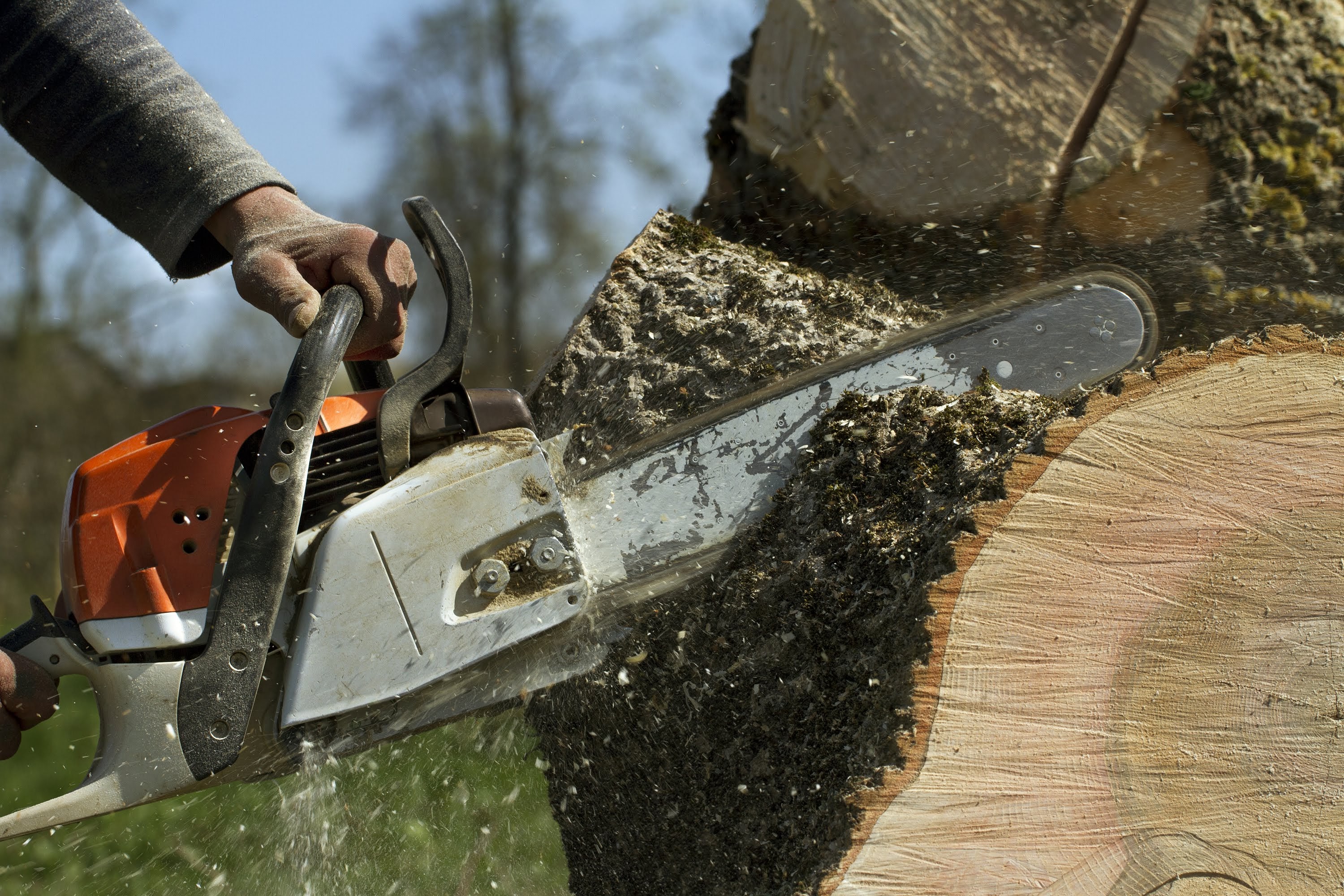 Patriot Tree Service LLC: Service Image-1 Patriot Tree Service LLC: Service Image-1