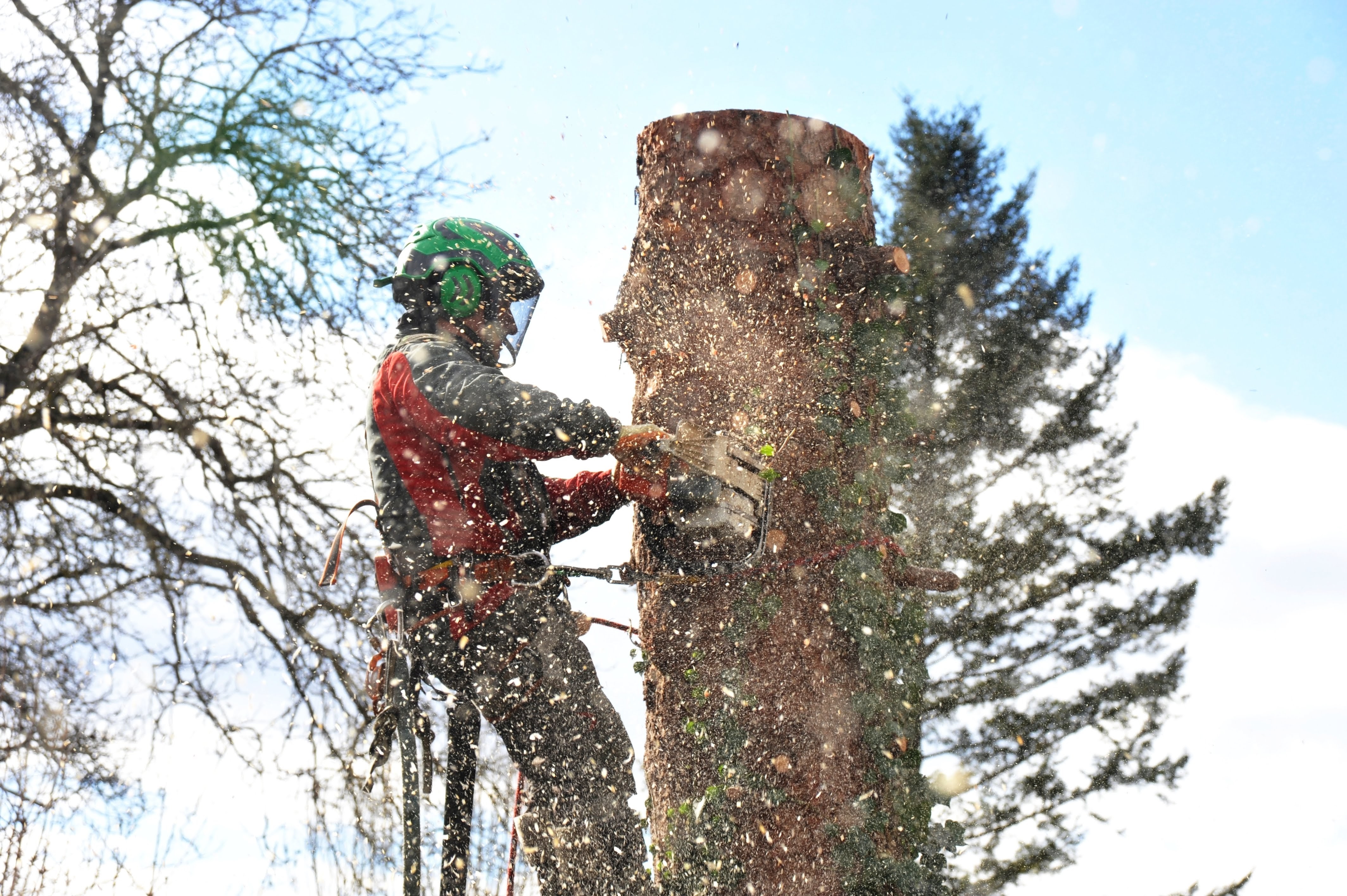 Patriot Tree Service LLC: Service Image-3 Patriot Tree Service LLC: Service Image-3