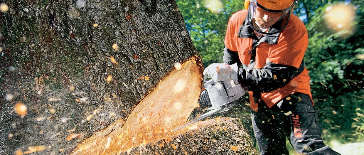 Patriot Tree Service LLC: Service Image-4 Patriot Tree Service LLC: Service Image-4